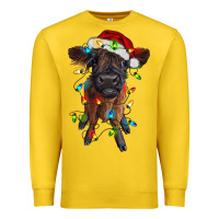 Lemon highland cow calf with christmas lights Premium Sweatshirt - RanaPortraitStore