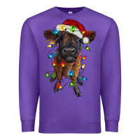 Purple highland cow calf with christmas lights Premium Sweatshirt - RanaPortraitStore