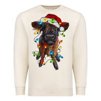 Sandshell highland cow calf with christmas lights Premium Sweatshirt - RanaPortraitStore