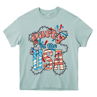 Arona Party in the USA 4th of july Heavy Core Tee - HowdyJamesFarm