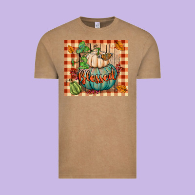 Blessed Tumbler Vintage Tee Designed By Bundleandbundleshop