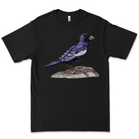 Black Lark Bunting Colorado State Bird Premium Tee - RanaPortraitStore