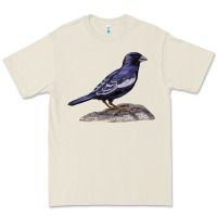 Bone Lark Bunting Colorado State Bird Premium Tee - RanaPortraitStore
