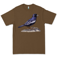 Cacao Lark Bunting Colorado State Bird Premium Tee - RanaPortraitStore