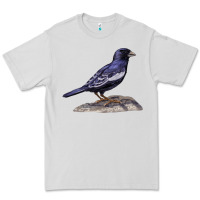 Dove Grey Lark Bunting Colorado State Bird Premium Tee - RanaPortraitStore