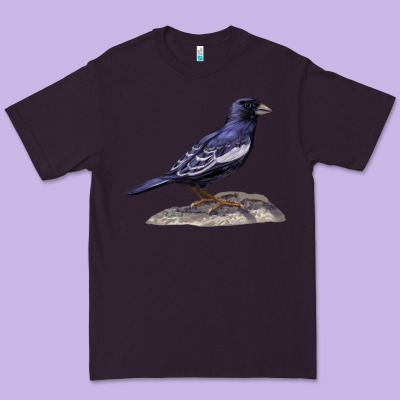 Lark Bunting Colorado State Bird Premium Tee Designed By Ranaportraitstore