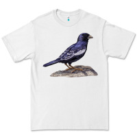 White Lark Bunting Colorado State Bird Premium Tee - RanaPortraitStore
