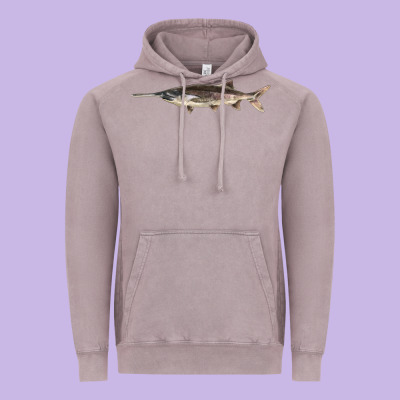 Paddlefish Illustrations, Vintage Hoodie Designed By Lillyallendesigns