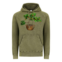 Vintage Olive Guava Tree Bonsai Illustrations Vintage Hoodie - LillyAllenDesigns