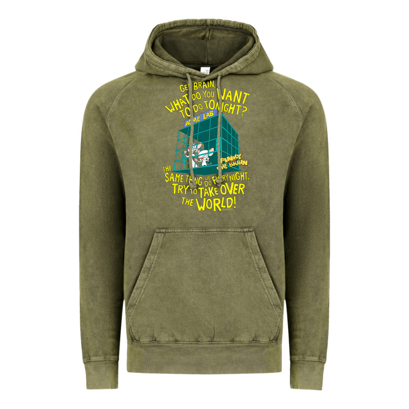 Pinky And The Brain The World Vintage Hoodie by maiPhamDesign | Teevron