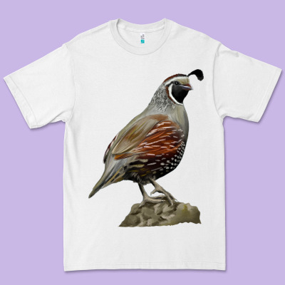 California Quail Bird Premium Tee Designed By Ranaportraitstore