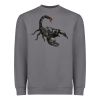 Storm scorpion Heavyweight Sweatshirt - JahusDesignShop