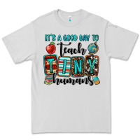 Dove Grey it's a good day to teach tiny humans Premium Tee - OliviaCreatesArt