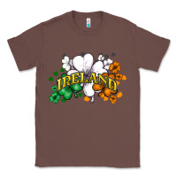 Chestnut St. Patrick's Ireland flag Classic Tee - HowdyJamesFarm