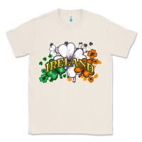 Natural St. Patrick's Ireland flag Classic Tee - HowdyJamesFarm