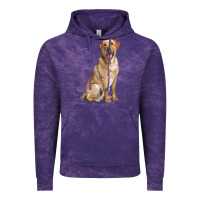 Cloud Purple Labrador Retriever llustrations Vintage Hoodie - LillyAllenDesigns