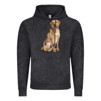 Vintage Black Labrador Retriever llustrations Vintage Hoodie - LillyAllenDesigns