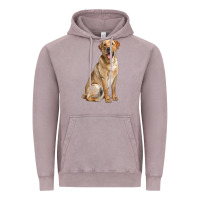 Vintage Zinc Labrador Retriever llustrations Vintage Hoodie - LillyAllenDesigns