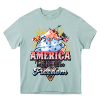 Arona America ice cream Heavy Core Tee - HowdyJamesFarm
