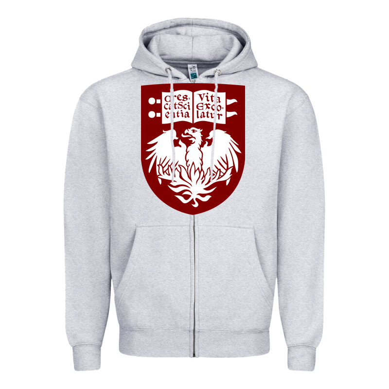 College Of Chicago Zipper Hoodie by artisFamous | Teevron