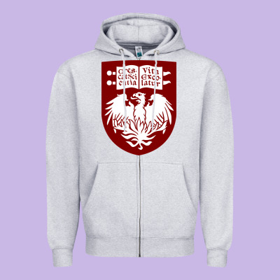 College Of Chicago Zipper Hoodie Designed By Artisfamous