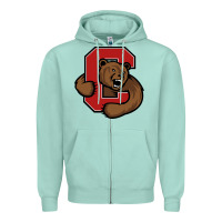 Seafoam cornell big red Zipper Hoodie - artisFamous