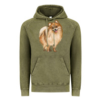 Vintage Olive Pomeranian Dog Illustrations Vintage Hoodie - LillyAllenDesigns