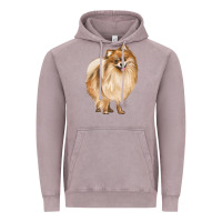 Vintage Zinc Pomeranian Dog Illustrations Vintage Hoodie - LillyAllenDesigns