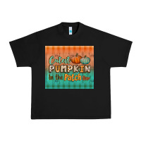 Black cutest pumpkin in the patch tumbler Urban Heavy Tee - BundleAndBundleShop