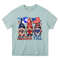 Arona America y'all with gnomies Heavy Core Tee - HowdyJamesFarm