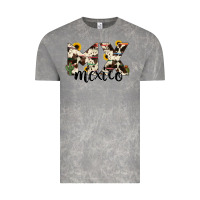 Cloud Rock mexico state cowhide serape cactus Vintage Tee - RanaPortraitStore