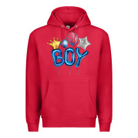 Cardinal Birthday Boy Balloon Premium Hoodie - Artiststas