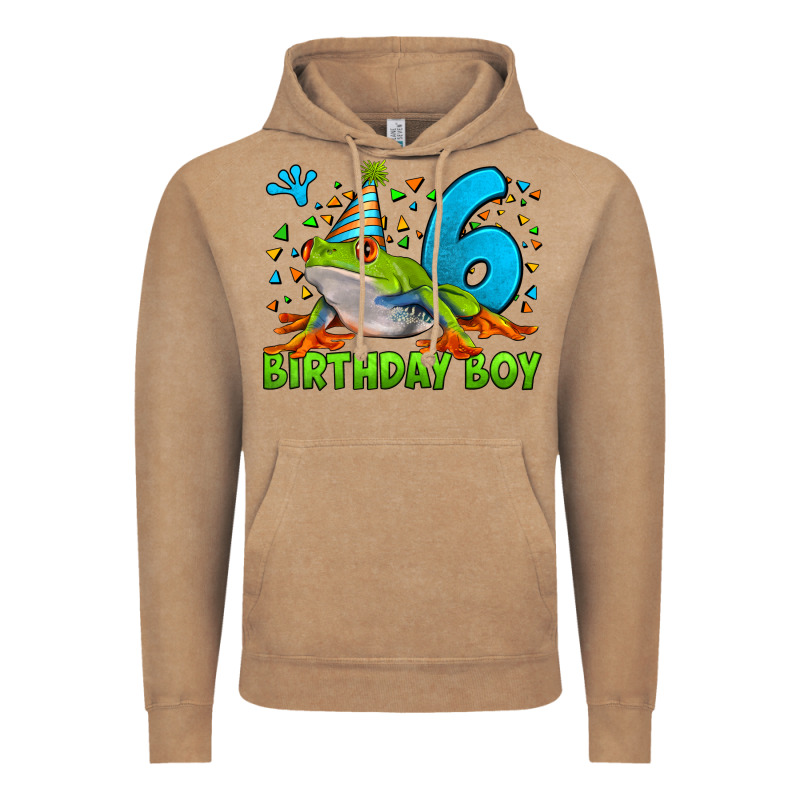 Birthday Boy Frog Age 6 Vintage Hoodie by LillyAllenDesigns | Teevron
