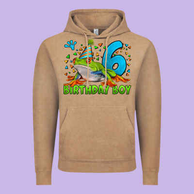 Birthday Boy Frog Age 6 Vintage Hoodie Designed By Lillyallendesigns