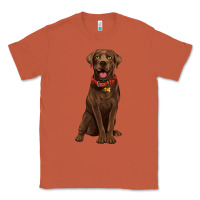 Copper chocolate lab labrador retriever Classic Tee - Artiststas
