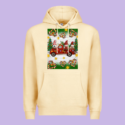 Christmas Gnomes Truck Premium Hoodie Designed By Artiststas