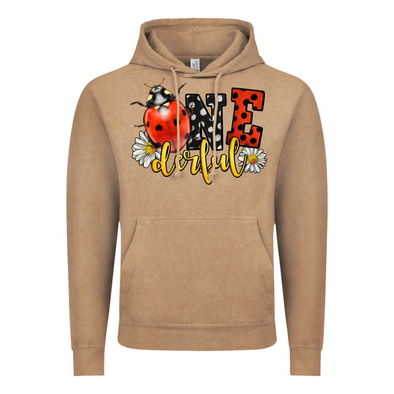 Onederful Wonderful Ladybug Vintage Hoodie by LillyAllenDesigns | Teevron