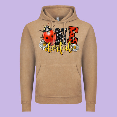 Onederful Wonderful Ladybug Vintage Hoodie Designed By Lillyallendesigns