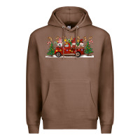 Chestnut Christmas Gnome Truck Premium Hoodie - Artiststas
