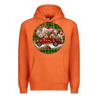 Carrot christmas gnomes truck Premium Hoodie - Artiststas