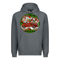 Rock christmas gnomes truck Premium Hoodie - Artiststas