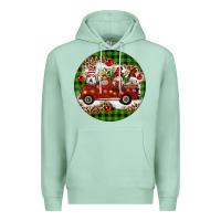 Seafoam christmas gnomes truck Premium Hoodie - Artiststas