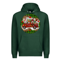 Sports Green christmas gnomes truck Premium Hoodie - Artiststas