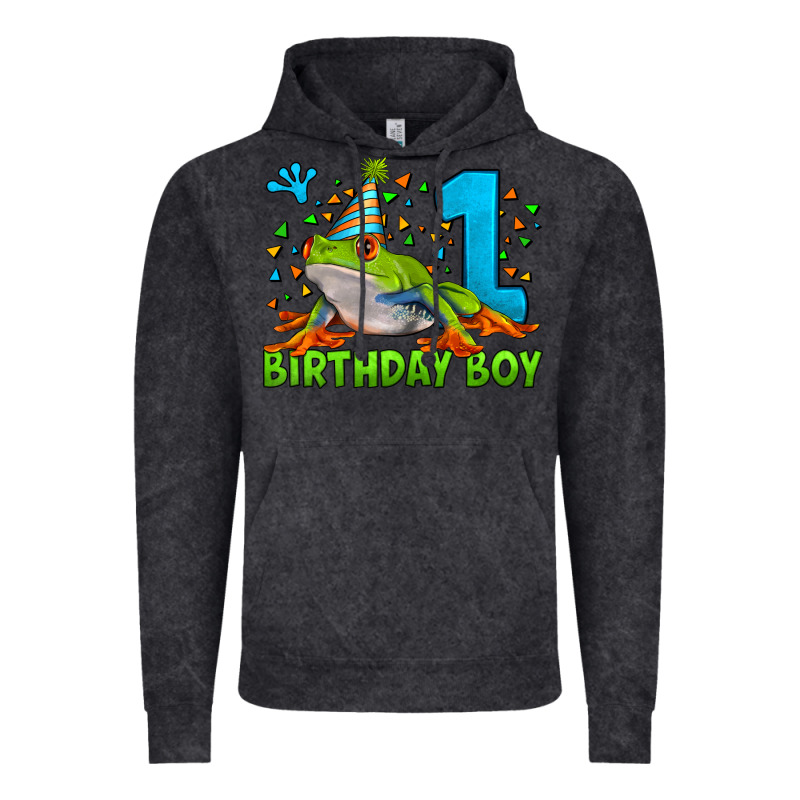 Birthday Boy Frog Age 1 Vintage Hoodie by LillyAllenDesigns | Teevron