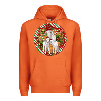 Carrot christmas goat family ornament Premium Hoodie - Artiststas