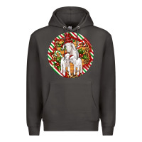 Smoke christmas goat family ornament Premium Hoodie - Artiststas