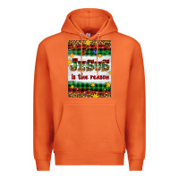 Carrot Christmas Jesus Is The Reason Premium Hoodie - Artiststas