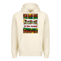 Tofu Christmas Jesus Is The Reason Premium Hoodie - Artiststas