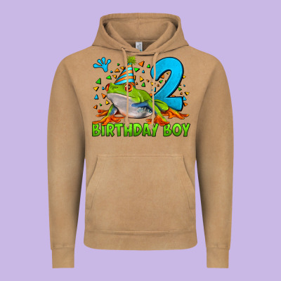 Birthday Boy Frog Age 2 Vintage Hoodie Designed By Lillyallendesigns