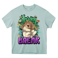 Arona Easter spring break Easter Day Heavy Core Tee - HowdyJamesFarm